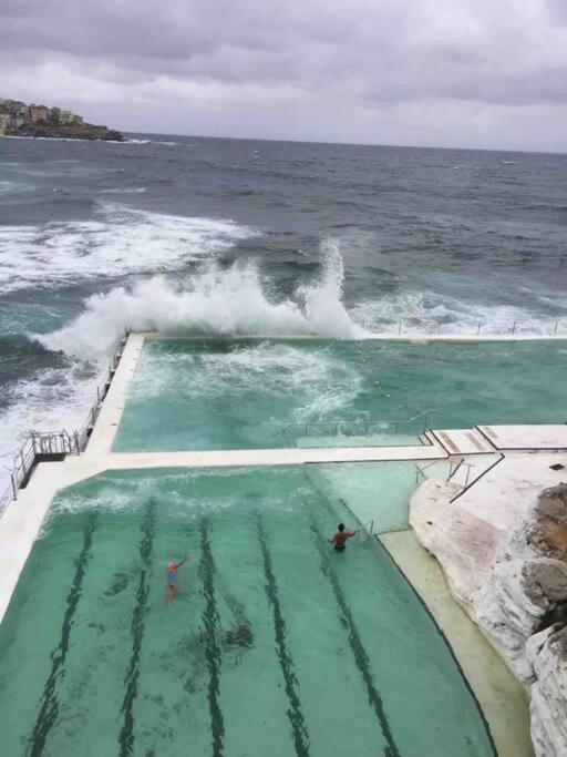 Bondi Beach Waves Beachfront Apartment Sydney Eksteriør billede